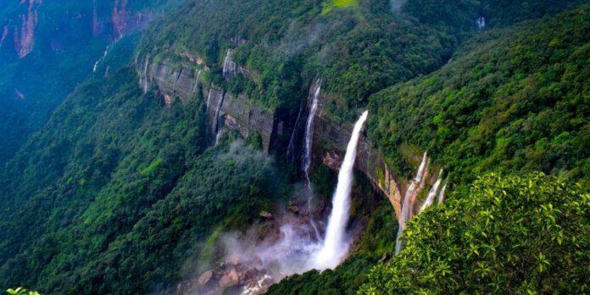 Explore the Beauty of Assam with Exclusive Holiday Packages