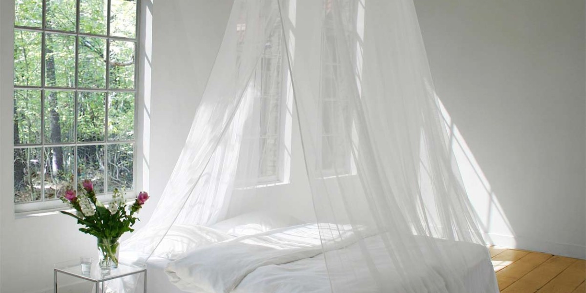 Unveiling the Shield: Everything You Need to Know About Bed Nets