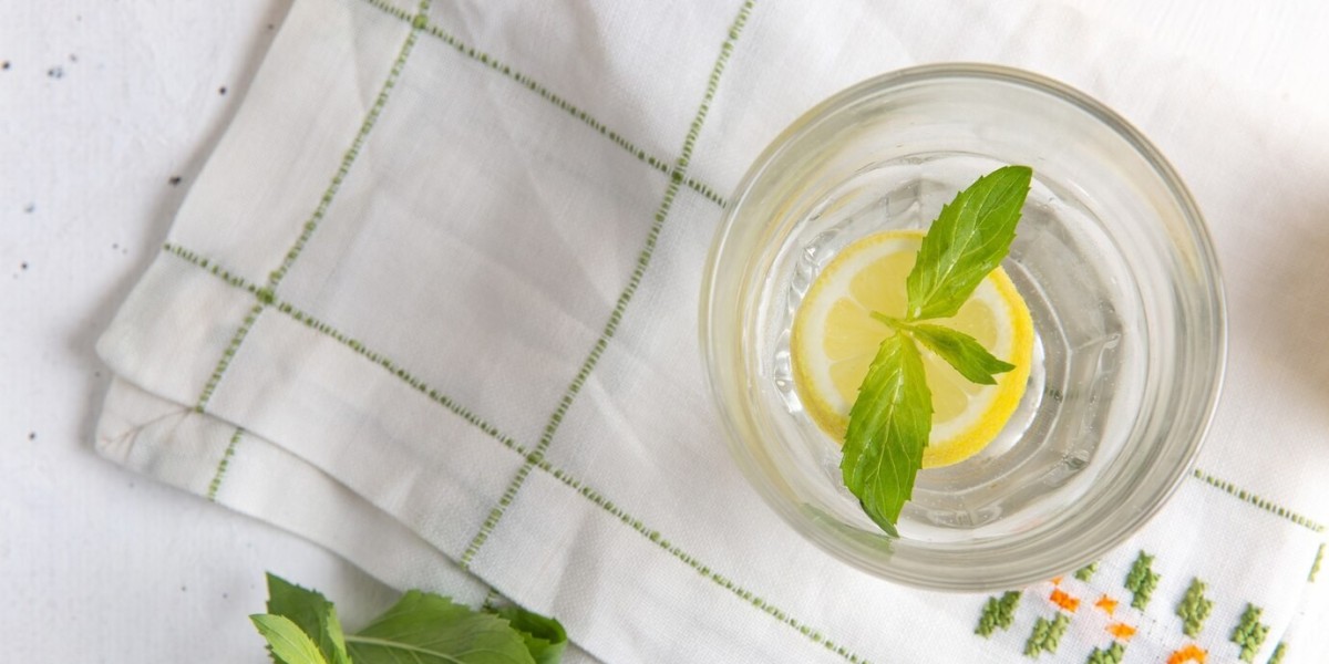 Herb Infused Water Market Strategies Understanding Consumer Behavior and Preferences