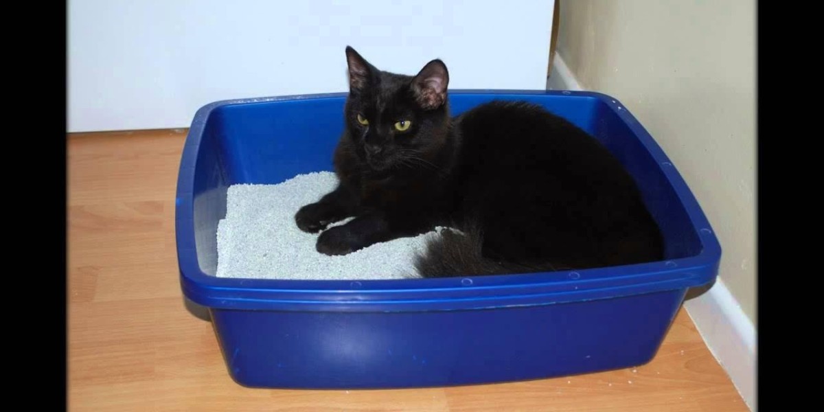 Cat Litter Market and E-commerce: The Rise of Online Sales