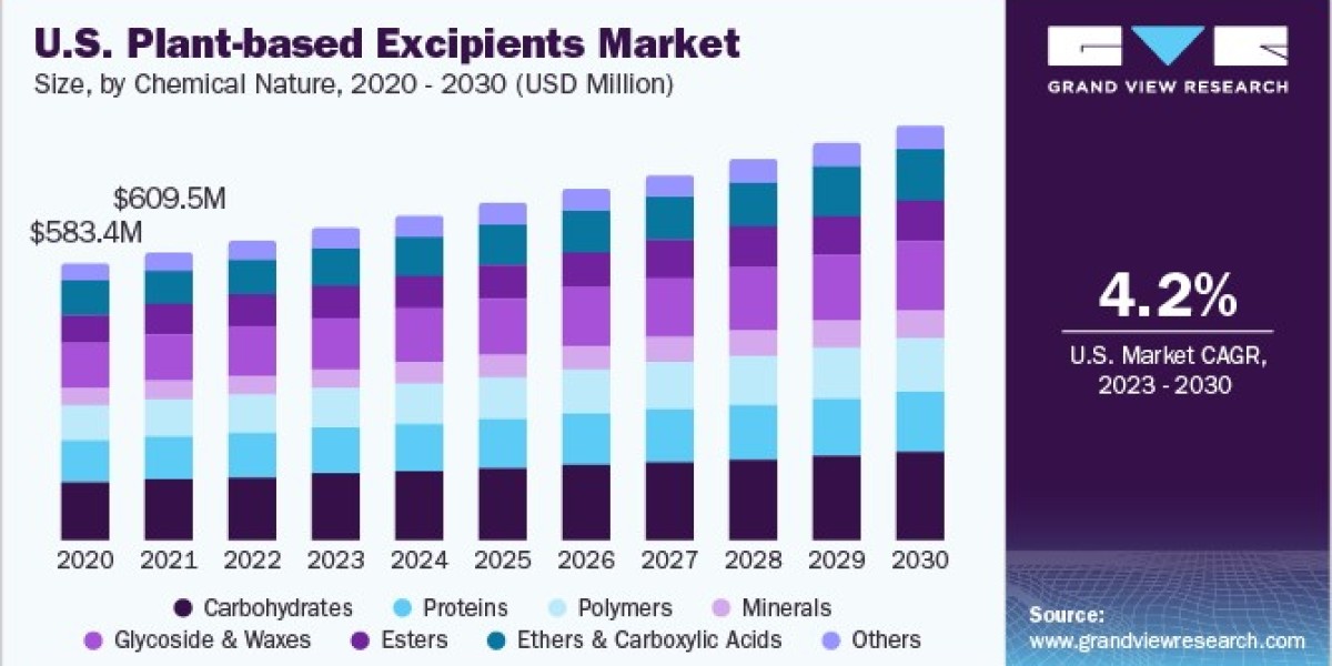Plant-based Excipients Market Research Identifies Leading Product Segments