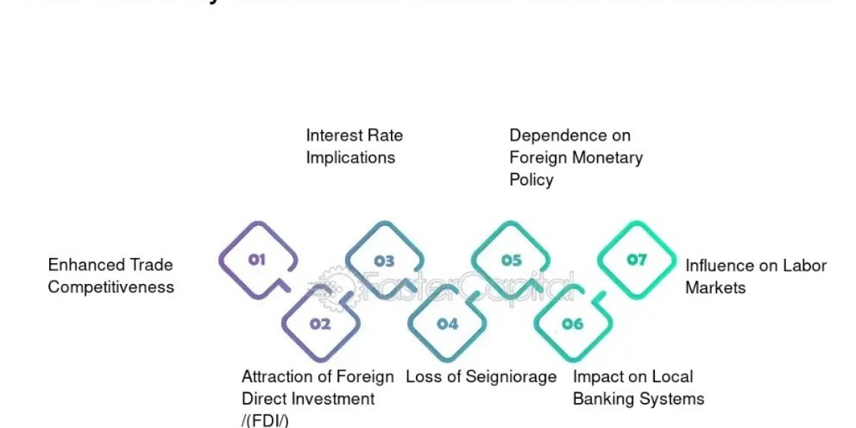 Currency Substitution Explained: Recent Developments and Future Outlook