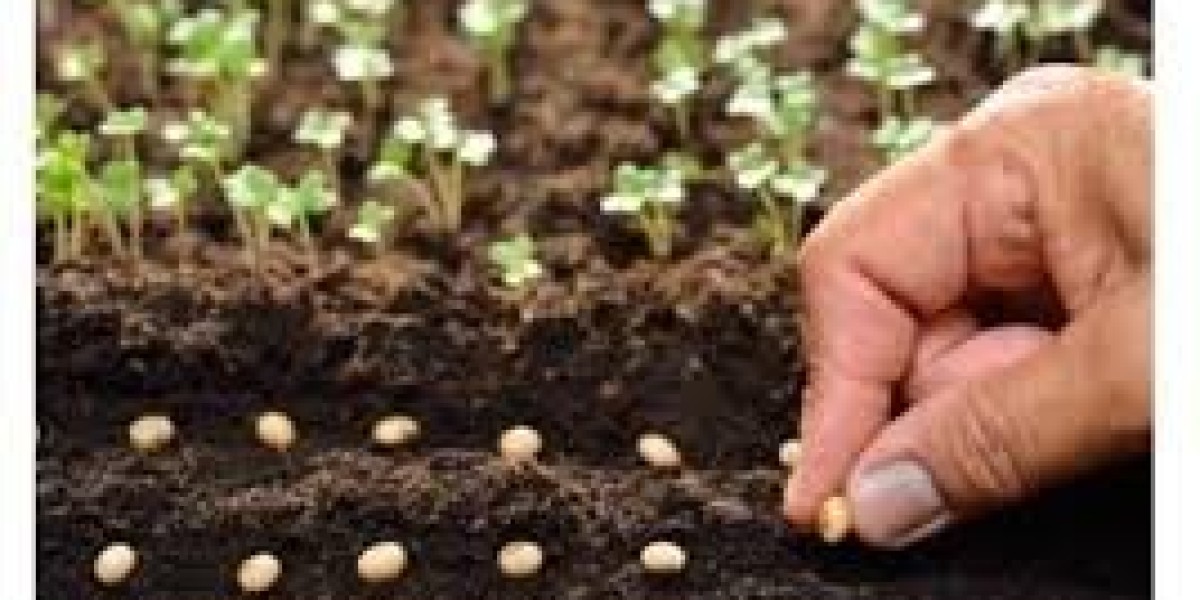 Seed Coating Market Analysis, Size, Share, Growth, Trends, and Forecasts by 2031