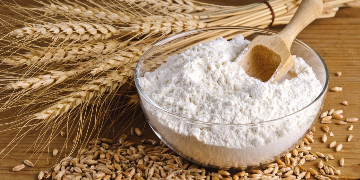 Clean Label Starch Industry Share, Growth, Demand, Segmentation and Forecast To 2031
