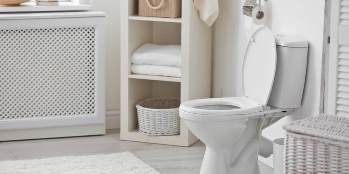 IY vs. Professional Help for Blocked Toilets in Clacton