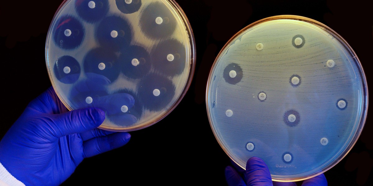 Antimicrobial Polymer Films Market and Regulatory Framework: Compliance and Standards