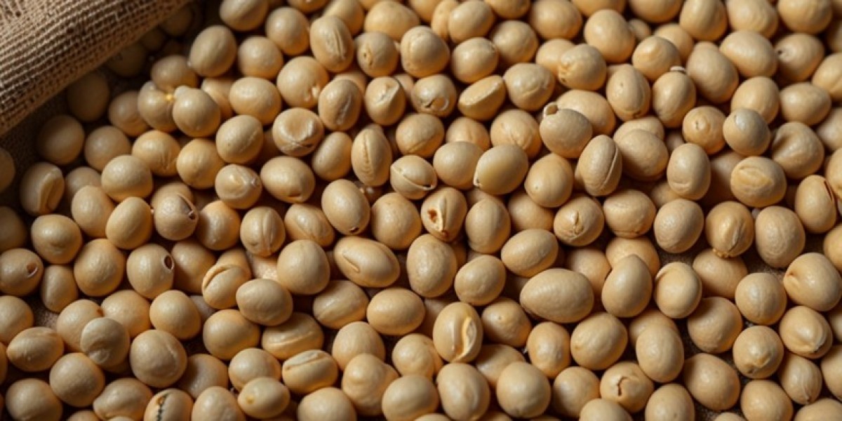 Soya Bean Processing Plant Setup | Raw Material List, Machinery Cost and Industry Trends