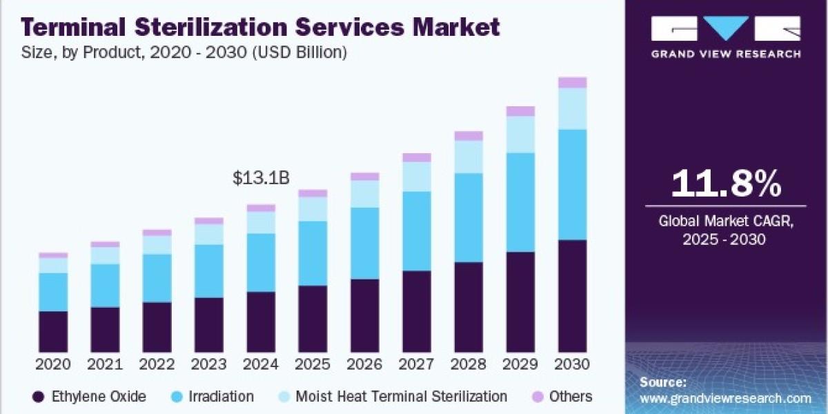 Terminal Sterilization Services Market Research: Evaluating Efficacy and Cost-Effectiveness