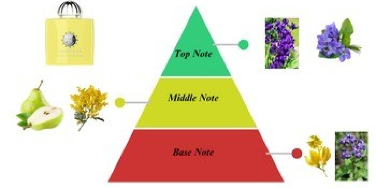 What’s The Difference Between Top Notes Heart Notes And Base Notes In Fragrances