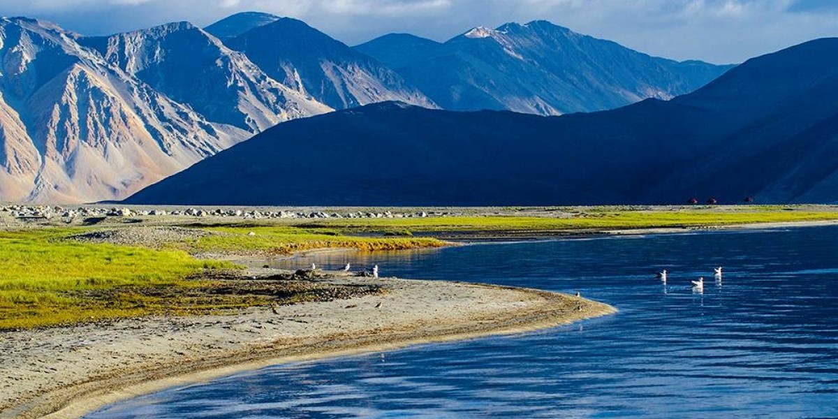 Best Ladakh Tour Packages 2024 for an Amazing Experience
