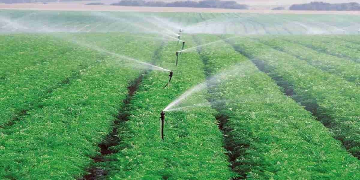 Water-Efficient Lawn Sprinkler Systems in Texas – Jbellservices Can Help