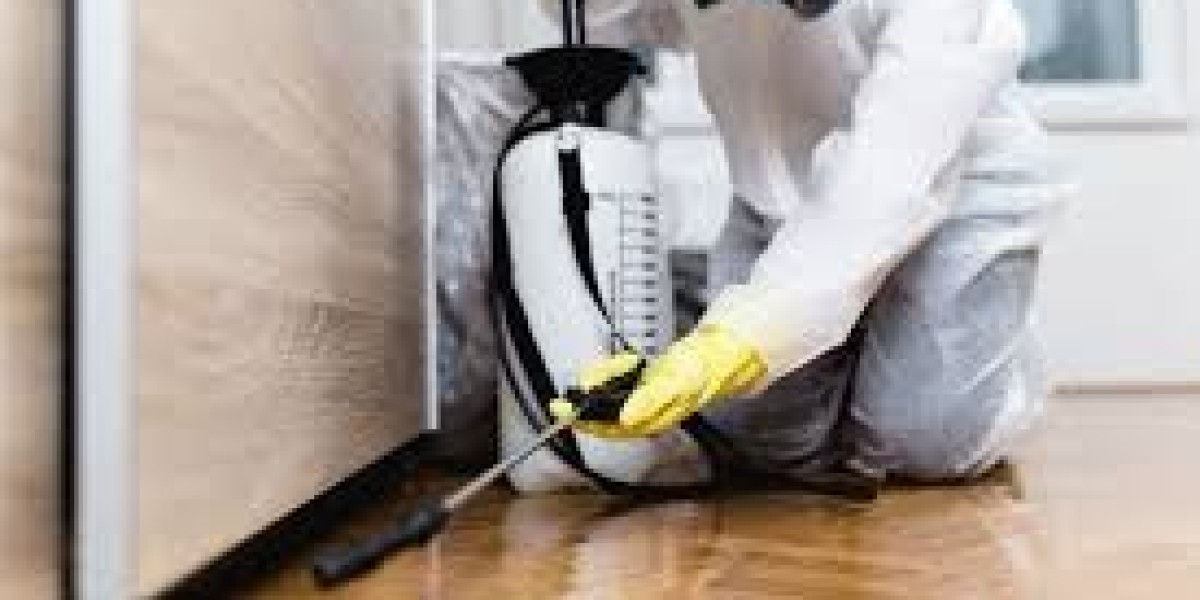 While professional pest infestation treatment is the best way to eliminate pests