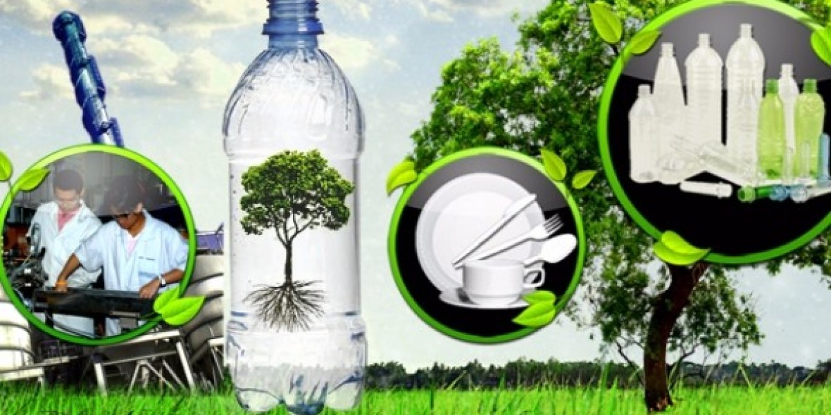 Bioplastic Recycling Market: The Next Big Sustainable Investment