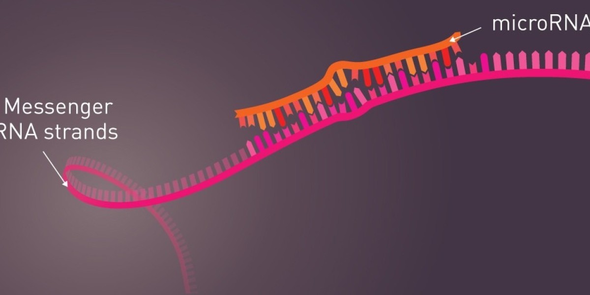 Competitive Landscape of the MicroRNA Market: Key Strategies and Trends