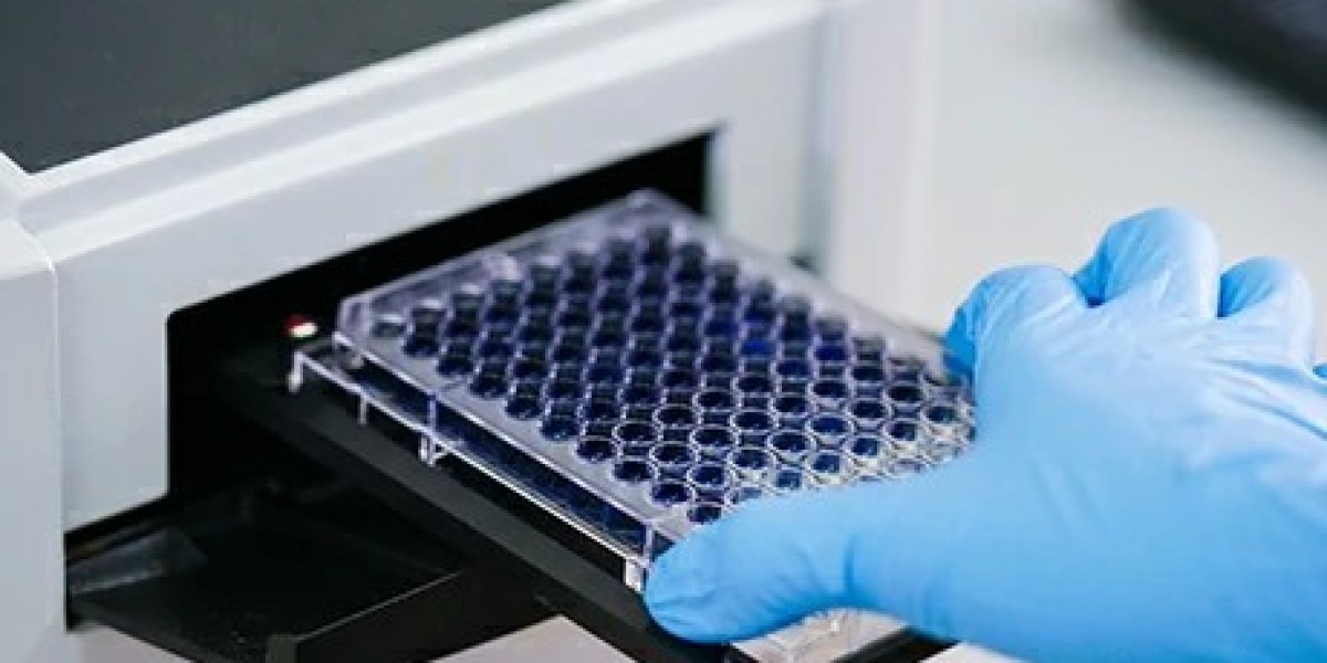 Creative Diagnostics Launches Animal-Derived DNA Residue Assay Kits (qPCR) for Research Applications