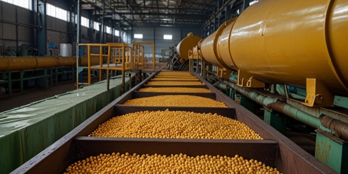 Soybean Oil Processing Plant Setup Cost 2025: Raw Material Requirements and Machinery