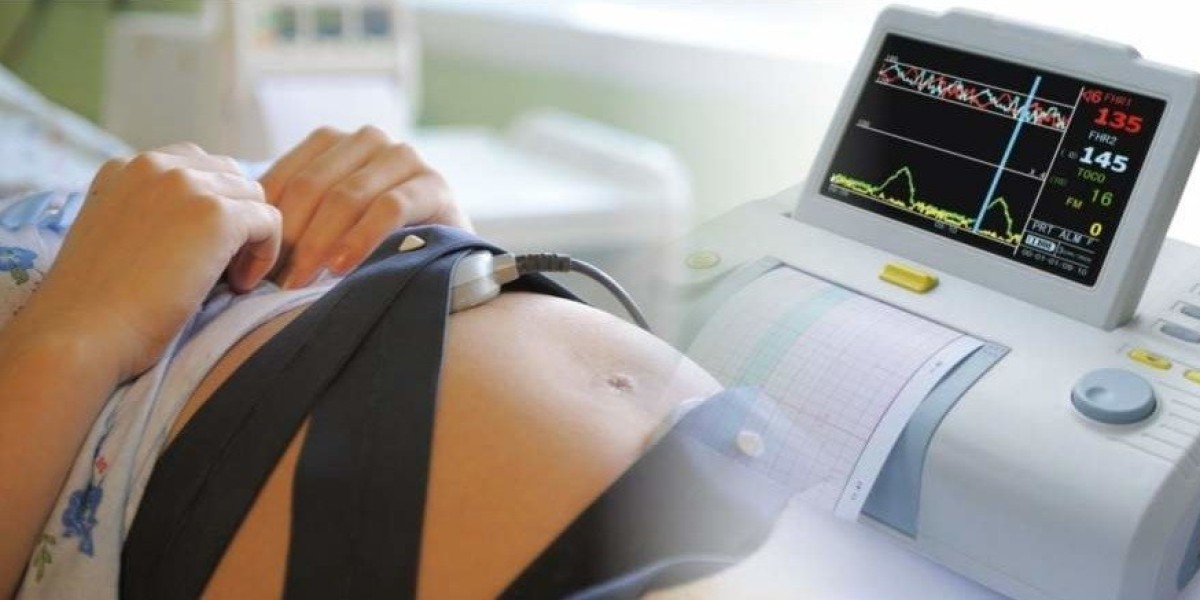 Fetal and Neonatal Heart Monitor Market Strategic Moves: Key Trends Shaping Industry Growth in 2025
