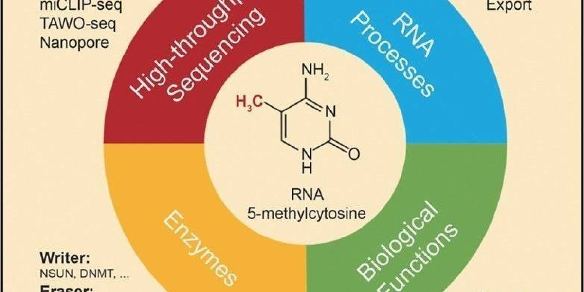 Epitranscriptomic Modifications and How to Detect Them