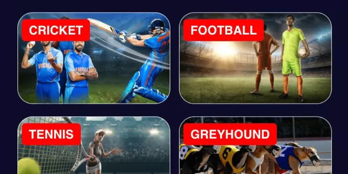 Sign Up on 11Xplay – Start Your Gaming Adventure Today!