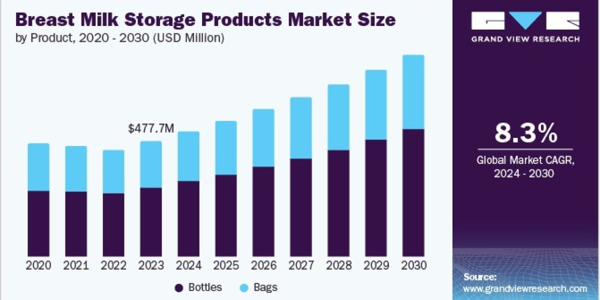 Breast Milk Storage Products Market 2030: Key Players Shaping the Industry