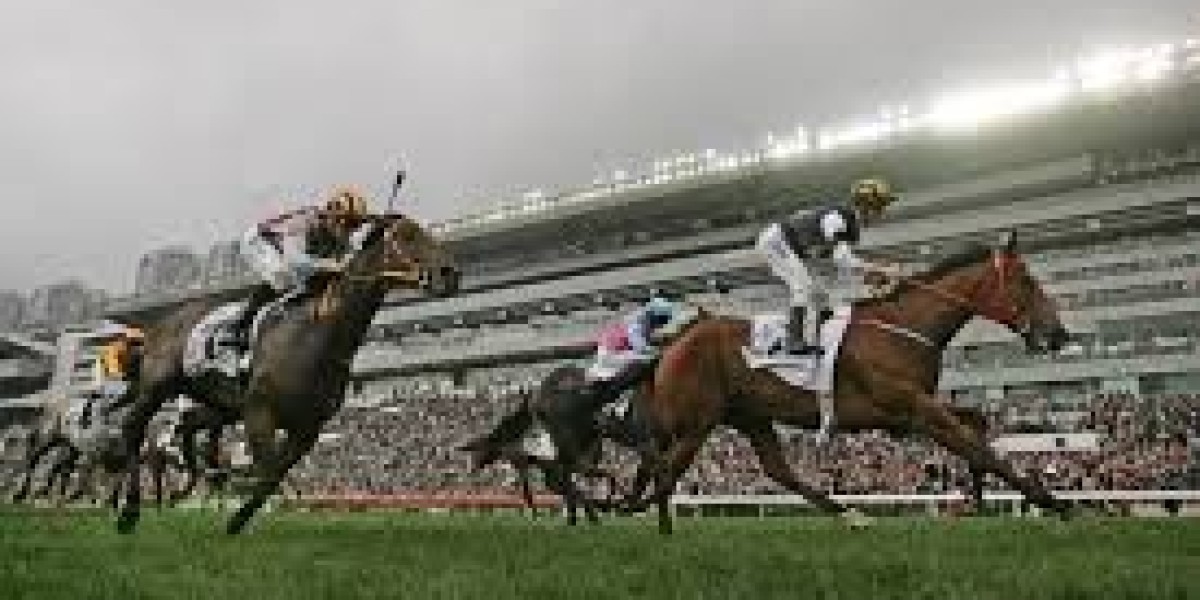 The Thrill and Tradition of Horse Racing