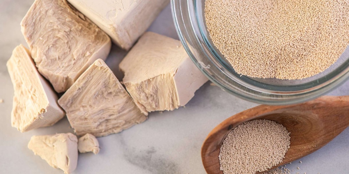 Dry Yeast Market Regulations and Quality Standards