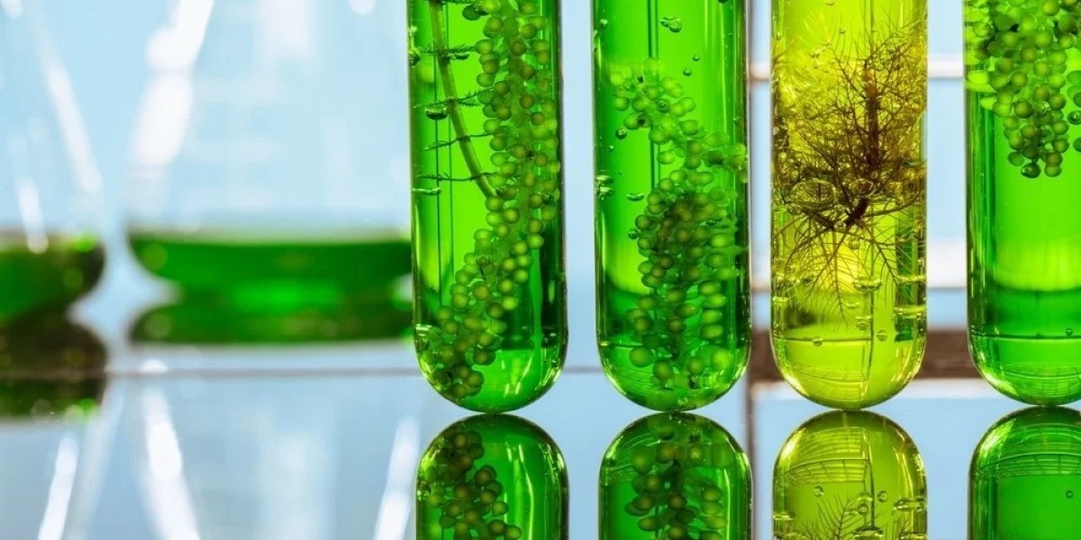 2025-2035 Outlook for Algae Biofuel Market: Sustained Expansion with 10.3% CAGR
