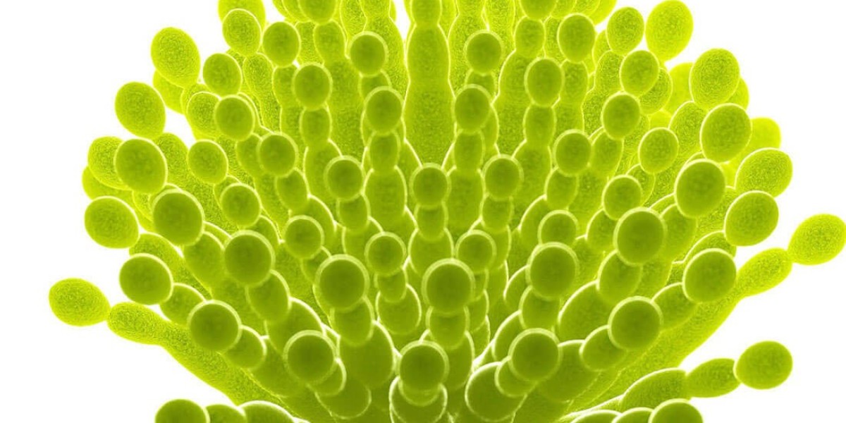 Creative Diagnostics Introduces Alternariol Test Reagents for Food Safety Detection