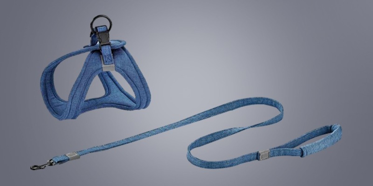 Choosing the Right Outdoor Dog Leash for Your Pet