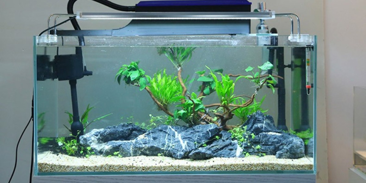 Aquarium Water Treatment Market: The Impact of Climate Change on Water Quality