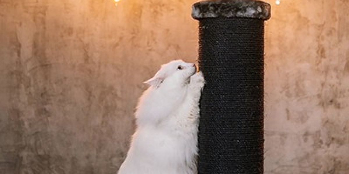 Create a Cat Paradise with Miumjau Scratching and Climbing Solutions