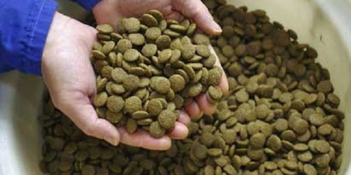 Aquaculture Feed Market Dynamics: Key Growth Drivers, Challenges, and Emerging Trends Shaping the Industry