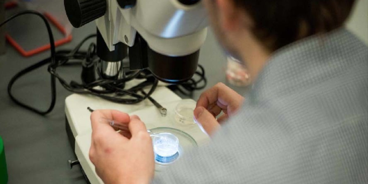 Industrial Testing Services Across Diverse Industries