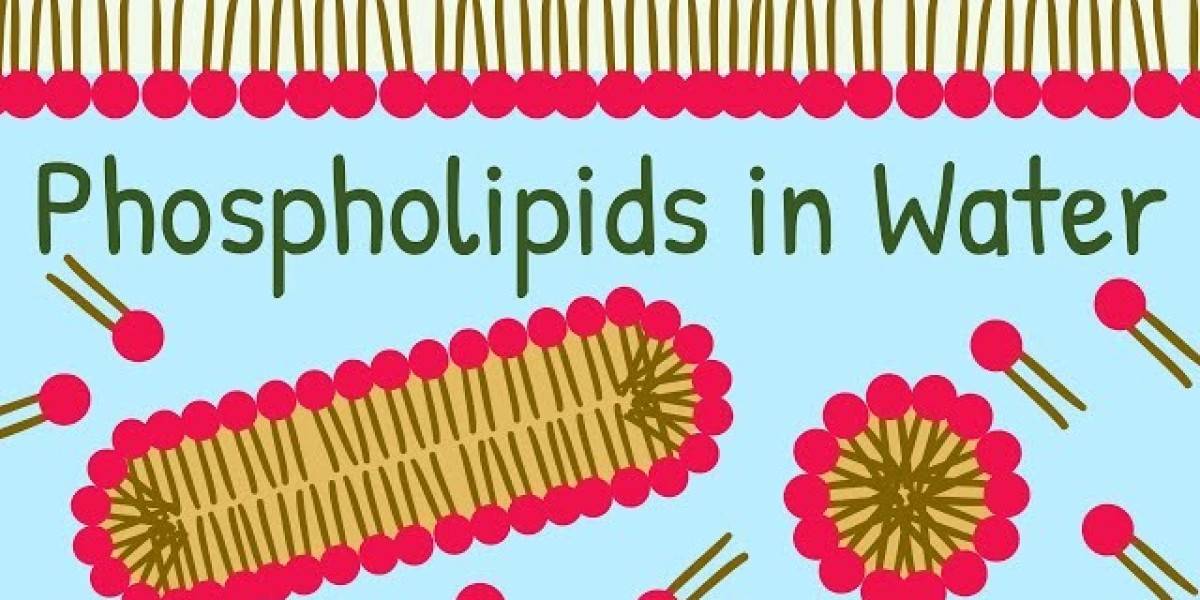 Phospholipids Market Scenario: Market Dynamics, Regional Insights, and Future Prospects for Global Growth
