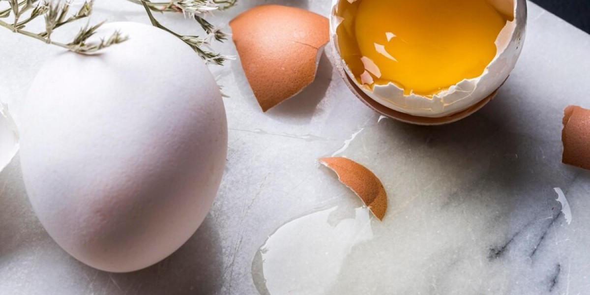 Egg Wash Alternative Market Growth Regional Trends and Market Penetration Strategies