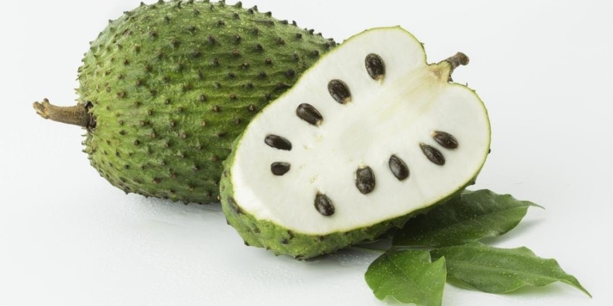 Guanabana Market Future Landscape To Witness Significant Growth by 2031
