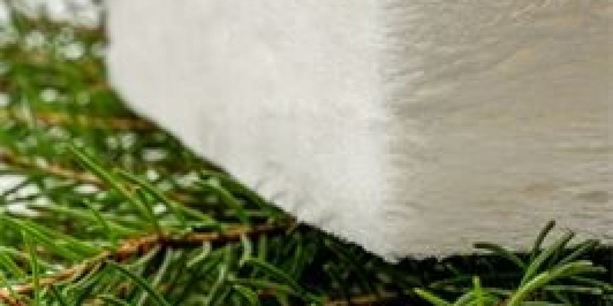 Bio-based Foam Market Expansion Fueled by Green Policies and Bio-Polyurethane Foam Innovations