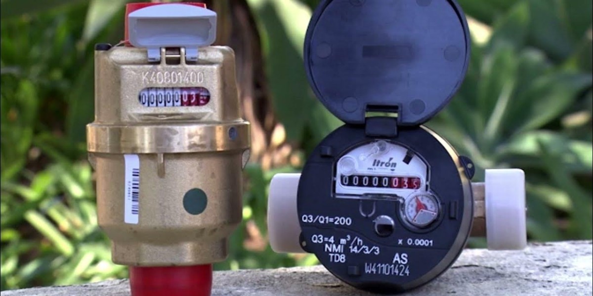Smart Water Meter Market Outlook Suggests Robust Growth from 2025 to 2032 Across Key Segments