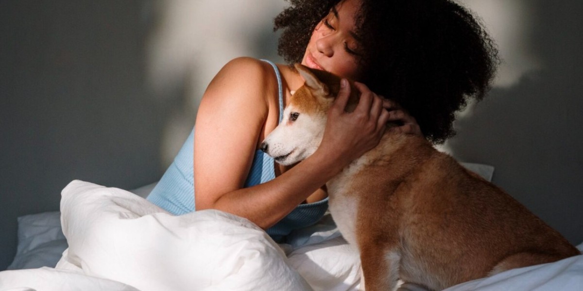 Animal Assisted Therapy: A Natural Path to Healing and Hope