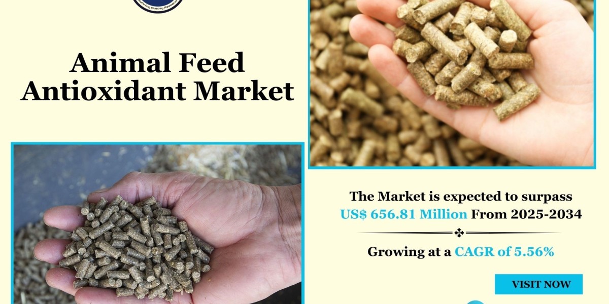 Animal Feed Antioxidant Market Growth, Share, Business Scope and Future Opportunities 2034: SPER Market Research