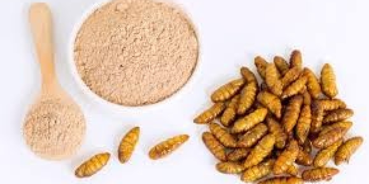The Rise of Insect Protein: A Sustainable Solution for the Future Food Market