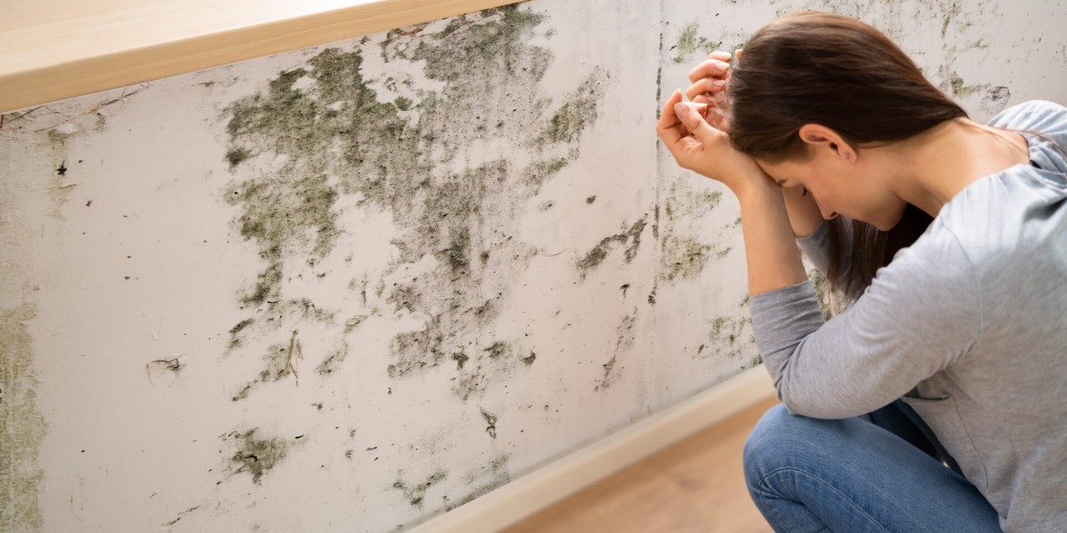 Safe & Reliable Mould Removal in County Donegal