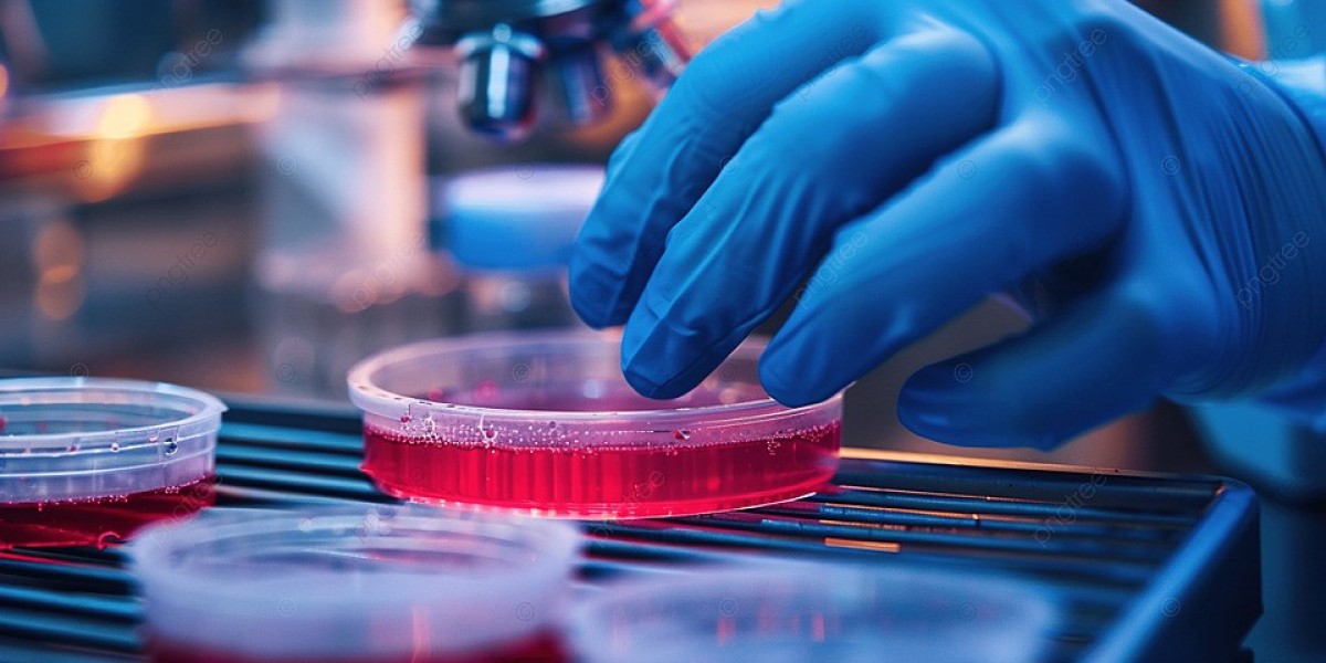 Antimicrobial Susceptibility Test Market Scenario: Emerging Economies Witnessing Accelerated Growth Due to Healthcare In