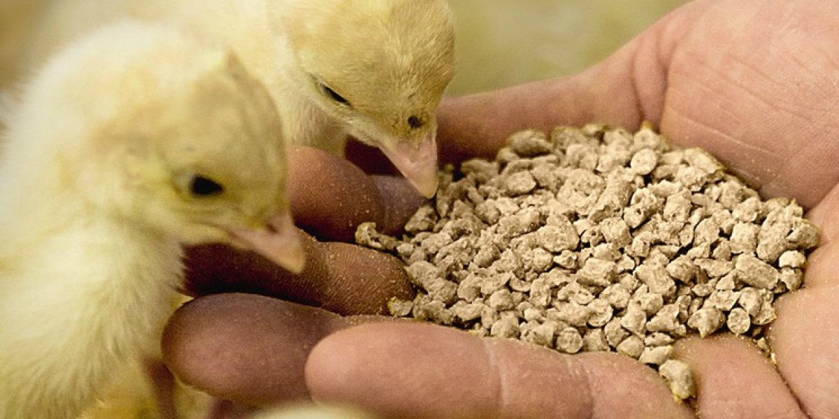 Animal Feed Probiotics Market Influenced by Rising Consumer Awareness About Animal-Derived Food Quality