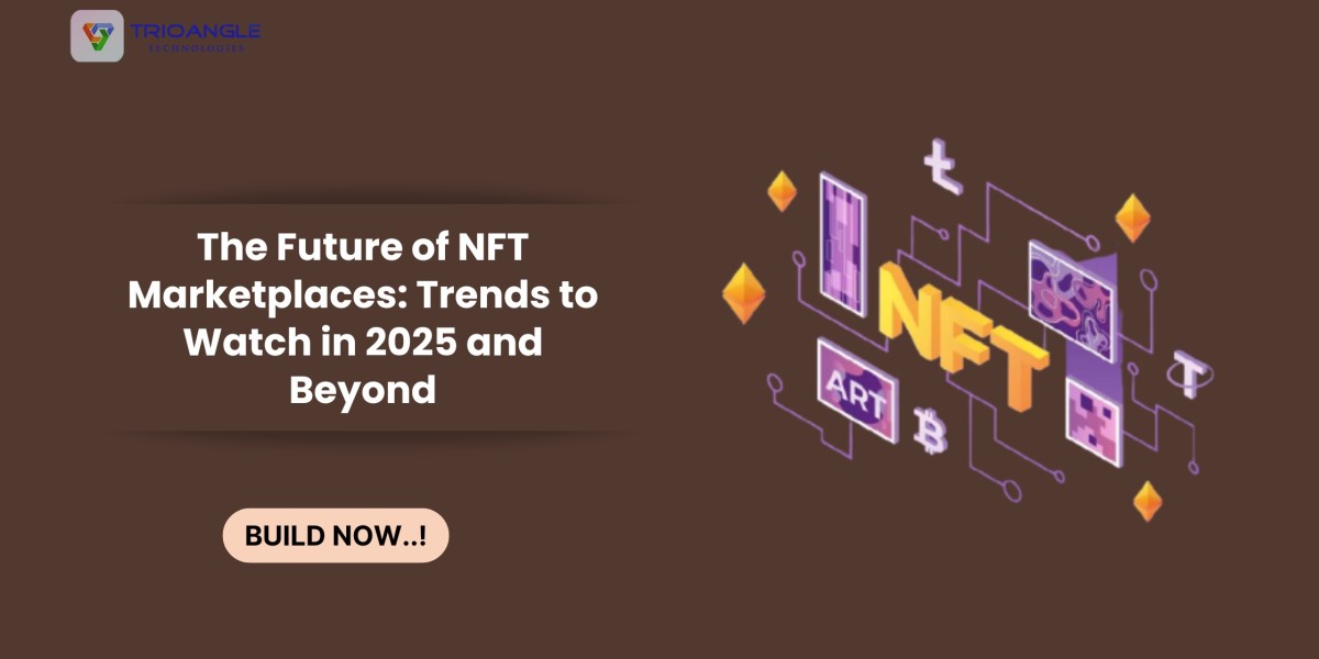 The Future of NFT Marketplaces: Trends to Watch in 2025 and Beyond