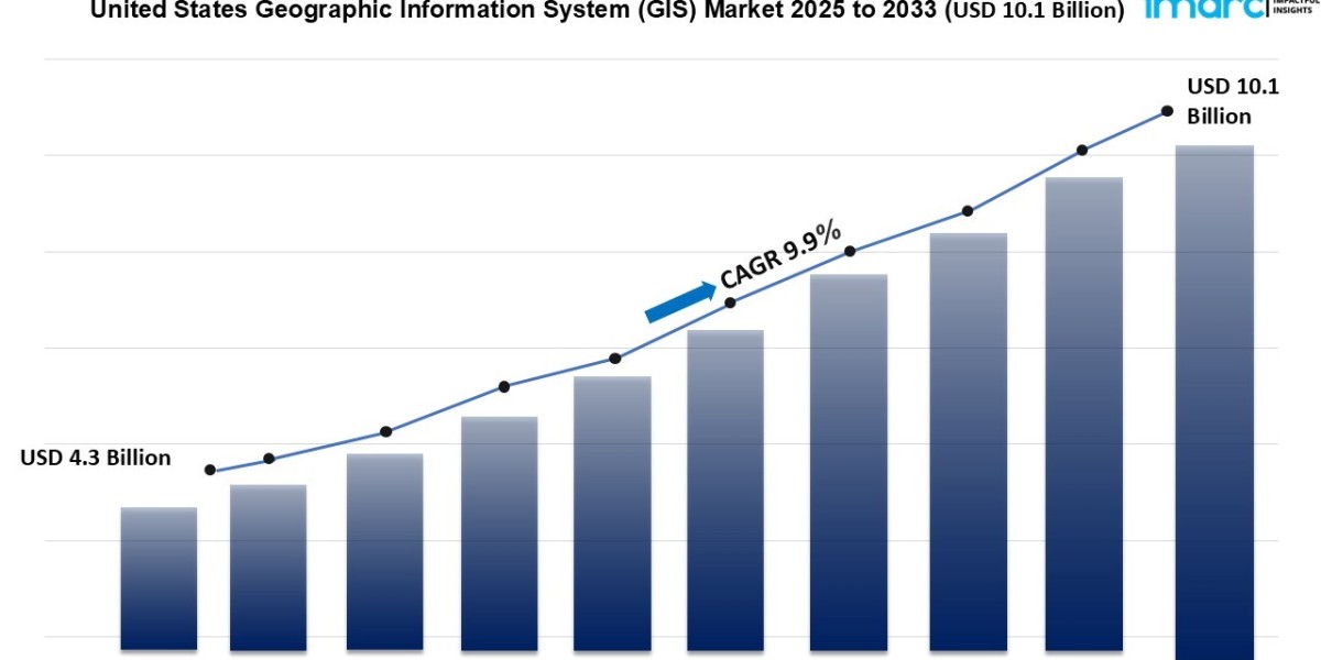 United States Geographic Information System (GIS) Market Size 2025-2033