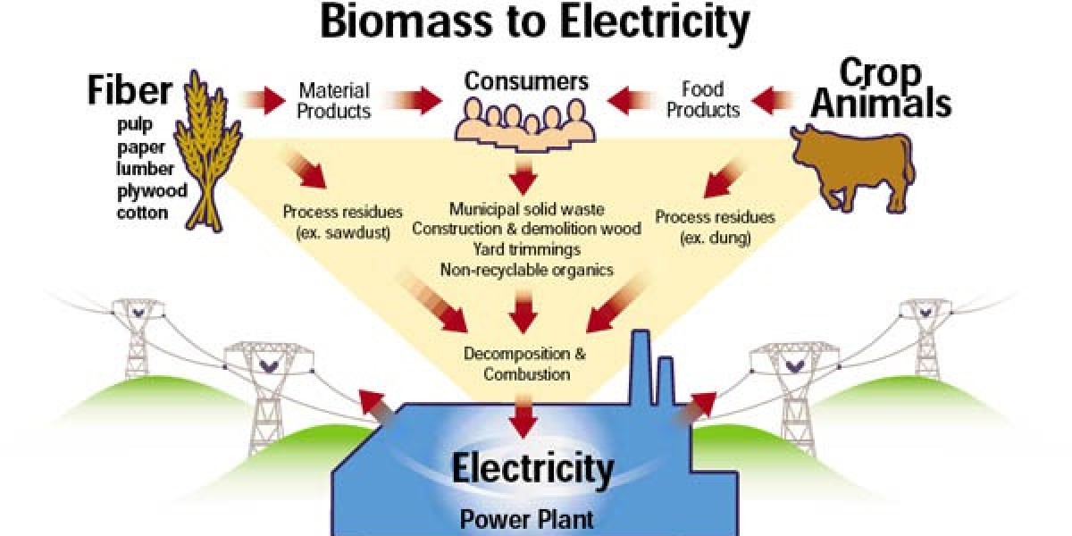 2025-2035 Outlook for Biomass Electricity Market: Sustained Expansion with 6.4% CAGR