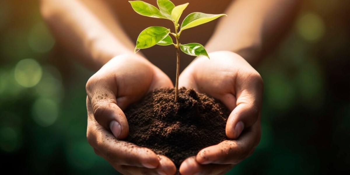 Biofertilizers Market Trends: Innovations Driving the Future of Agriculture