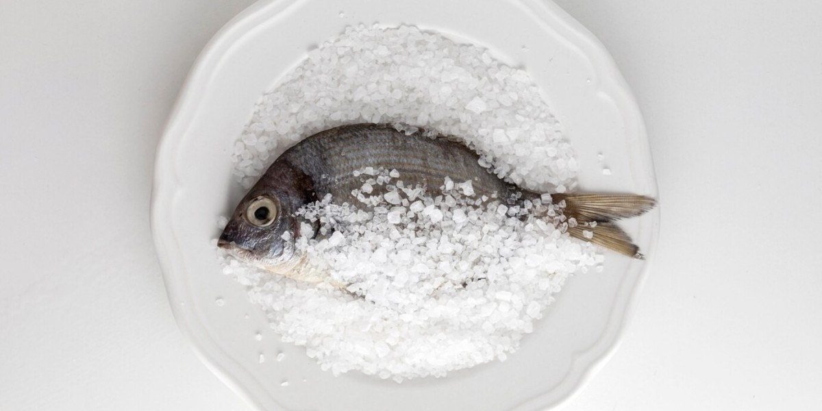 Fish Collagen Market Developments Highlight Rising Demand for Sustainable, Bioavailable, and Ethical Beauty-from-Within 