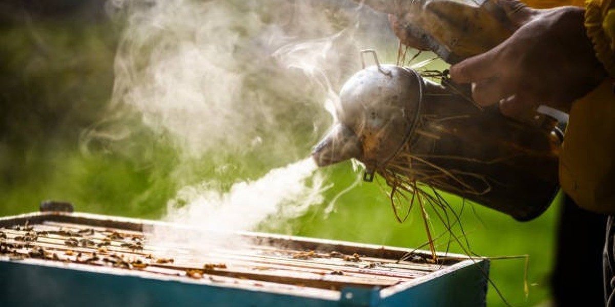 Honey Bee Removal Services by Eli the Bee Guy – Safe, Humane, and Professional in Ontario, CA